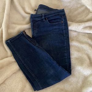 Ann Taylor Loft Skinny Ankle Jeans